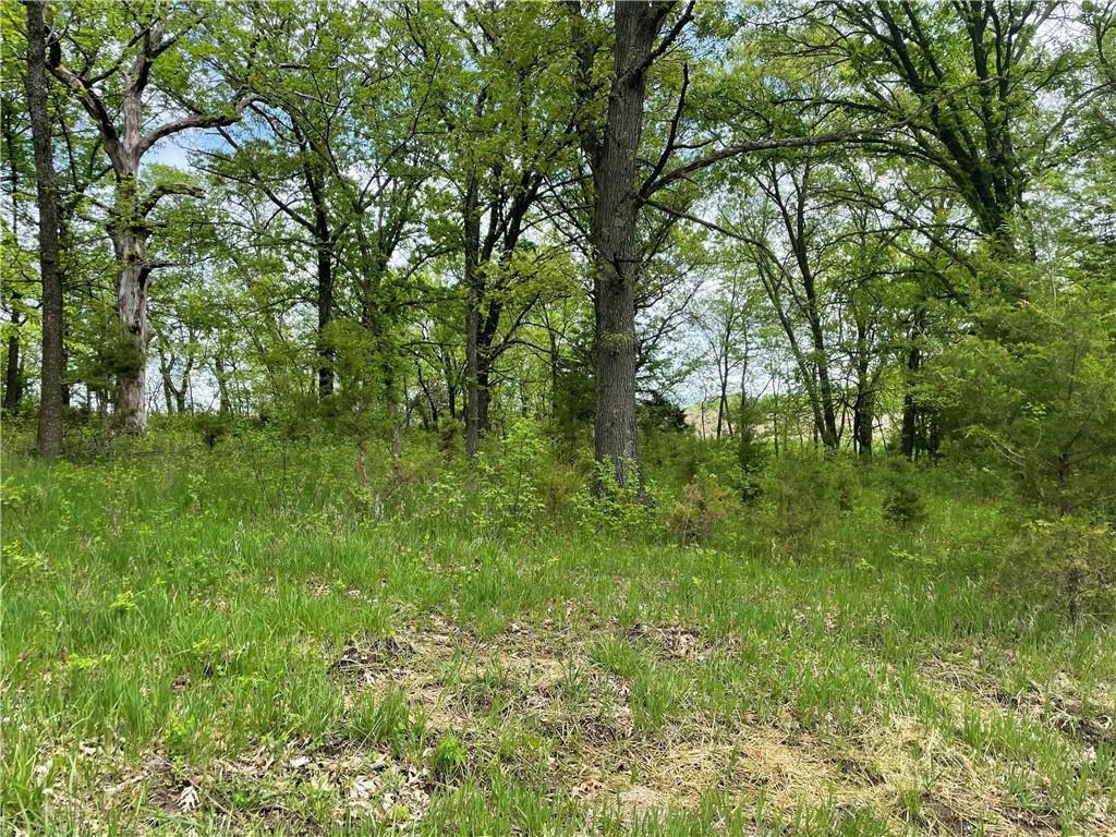 LOT 3038 LAKE VIKING TERRACE, GALLATIN, MO 64640, photo 1 of 3