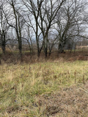 LOT 1 169 HIGHWAY, GOWER, MO 64454, photo 3 of 4