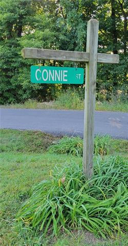 CONNIE STREET, OTTERVILLE, MO 65348, photo 1 of 6