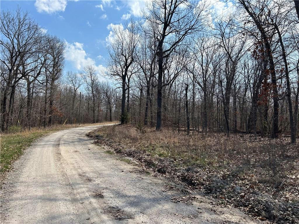 TBD SE 1151 ROAD, DEEPWATER, MO 64740, photo 1 of 7