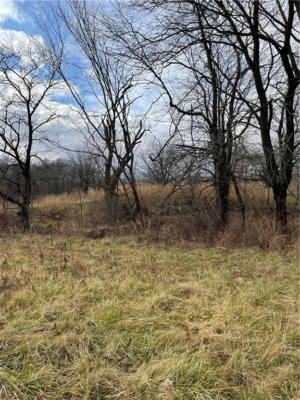 LOT 1 169 HIGHWAY, GOWER, MO 64454, photo 4 of 4