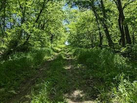 40.2 AC MINERAL POINT ROAD, TROY, KS 66087 - Image 1
