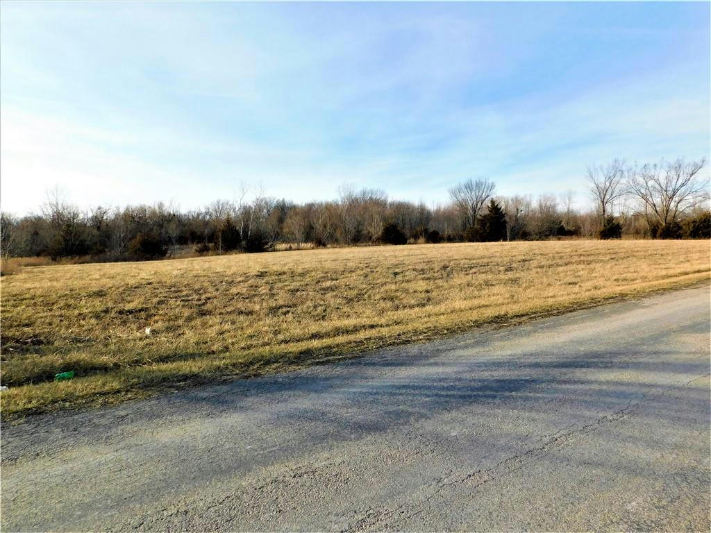 TBD CEDAR LANE, HOLDEN, MO 64040, photo 1 of 11