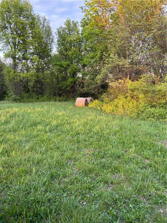 TBD SE COUNTY 775 ROAD, BUTLER, MO 64730, photo 1 of 14