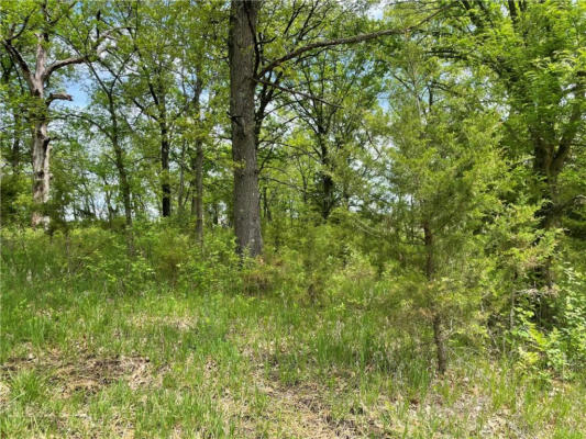 LOT 3038 LAKE VIKING TERRACE, GALLATIN, MO 64640, photo 2 of 3