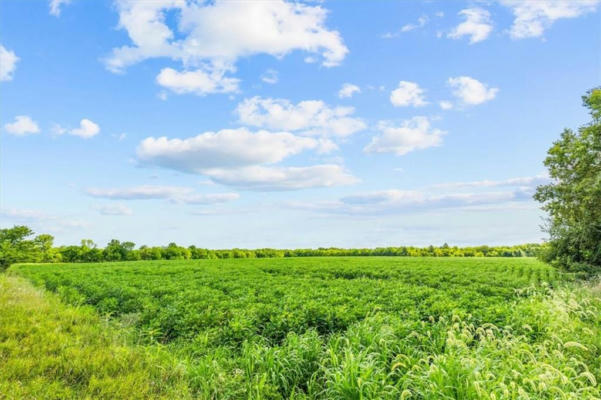 21 ACRES STALEY MOUND ROAD, GARDEN CITY, MO 64080, photo 5 of 18