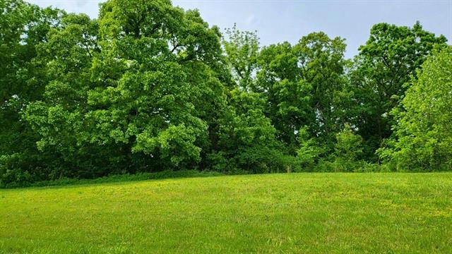 LOT 19 TBD SE HOLSTEIN DRIVE, OAK GROVE, MO 64075, photo 2 of 4