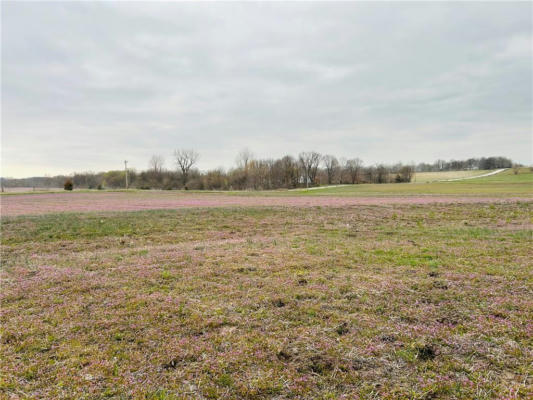 TRACT B NW 325TH ROAD, HOLDEN, MO 64040, photo 5 of 5