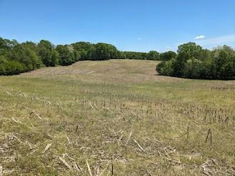 40.2 AC MINERAL POINT ROAD, TROY, KS 66087, photo 3 of 18